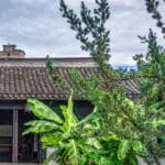 Bahçelerde Son Bahar Esintileri