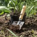 Bahçelerimizi Güzelleştirme Zamanı