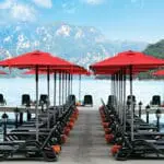 avakado-klips-semsiye