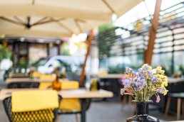 Cafe Dizayn Tasarım