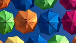 Bah&ccedil;e Şemsiyelerinizi Renklendirin