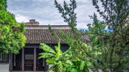 Bahçelerde Son Bahar Esintileri