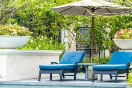 Karantinada Bahçenizin Keyfini Sürün