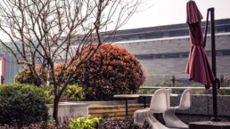 Yaz Geliyor Bah&ccedil;eler Şenleniyor