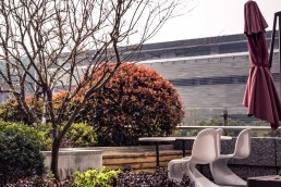 Yaz Geliyor Bahçeler Şenleniyor