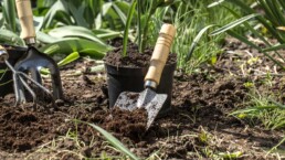 Bah&ccedil;elerimizi G&uuml;zelleştirme Zamanı