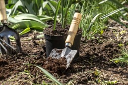 Bahçelerimizi Güzelleştirme Zamanı