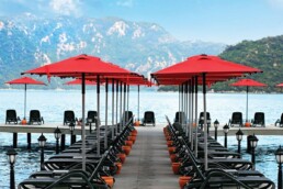 avakado-klips-semsiye