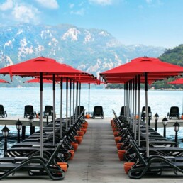 avakado-klips-semsiye