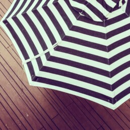 semsiye-evi-semsiye-ihracati